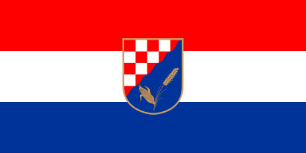 [Municipal flag]