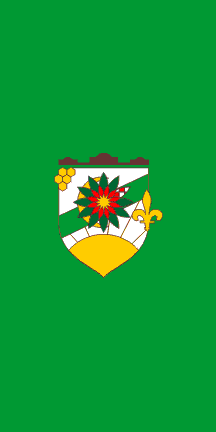 [Municipal flag]