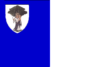 [Flag of Boom]