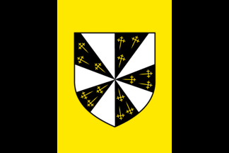 [Flag of Pepingen]