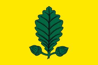 [Flag of Heusden-Zolder]