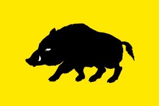 [Flag of Evergem]