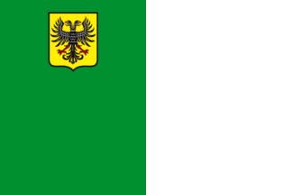[Flag of Ronse]