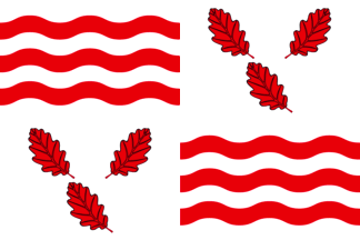 [Flag of Froidchapelle]