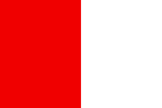 [Flag of Pecq]