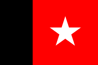 Second Flag of Cunani - Variant (Brazil)