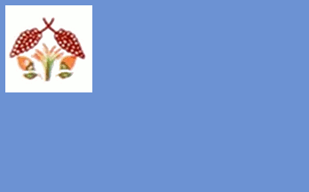 [Flag of Buriti Bravo, MA (Brazil)]