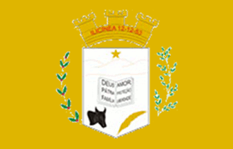 [Flag of Ilicínea, Minas Gerais