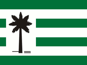 [Flag of V&#225;rzea da Palma, Minas Gerais