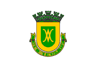 [Flag of Borda da Mata, 
MG (Brazil)]