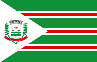 [Reported Flag of Batayporã, MS (Brazil)]