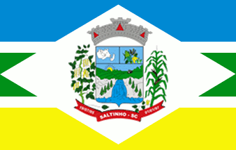 [Flag of Saltinho, Santa Catarina