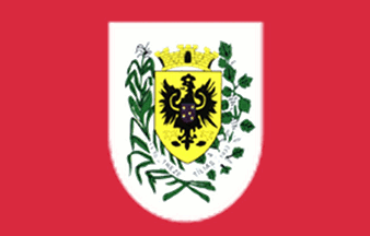 [Flag of Treze de Maio, Santa Catarina