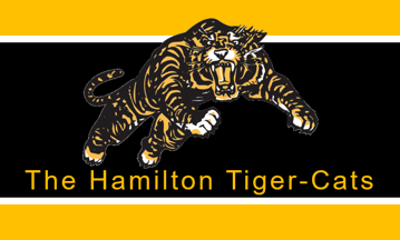 Hamilton Tigers - Logo History 