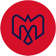 [Montreal Alouettes Logo Type #4 since 2019]