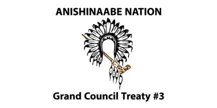[Treaty Three flag]