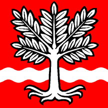 [Flag of Oeschenbach]