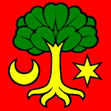 [Flag of Erlach]