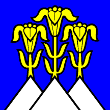 [Flag of Blumenstein]