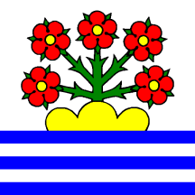 [Flag of Rorschacherberg]