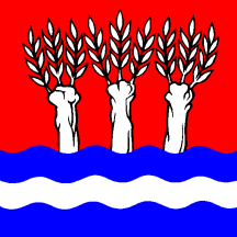 [Flag of Wittenbach]