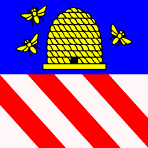 [Flag of Niederbüren]