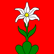 [Flag of Illgau]