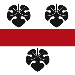 [Flag of Hüttwien]