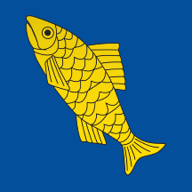 [Flag of Wiezikon]