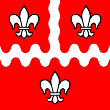 [Flag of Bioggio]