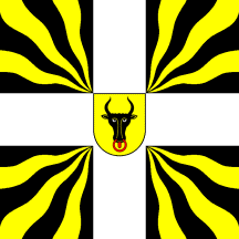[Modern war flag of canton Uri (decorative only)]
