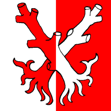 [Flag of Essertines-sur-Yverdon]