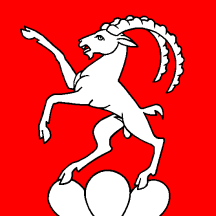[Flag of Steinmaur]