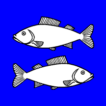 [Flag of Fischenthal]
