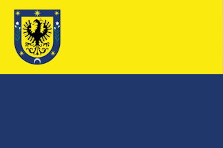 [Concepción commune flag]