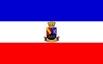 [Chillán Viejo flag]