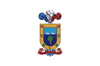 [San Vicente flag]