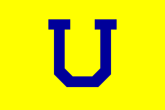 [Universidad de Concepción sport flag variant]