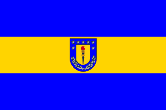 [U de Concepción flag]