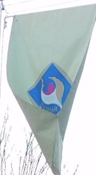 [Possible flag of Qiqihar]