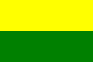 Flag of VICHADA