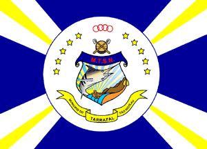 T. S. N. mun. flag