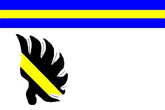 [Petrovice flag]