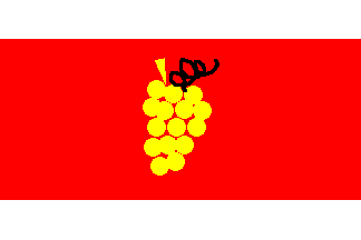 [Vinohrady flag]