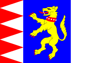 [Petrovice flag]