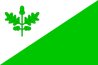 [Dubá town flag]