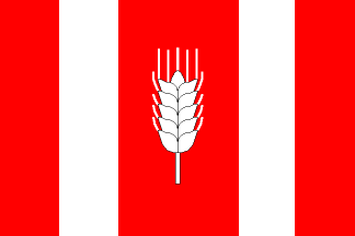 [Letonice municipality flag]