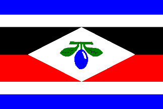[flag of Dolní Lhota]