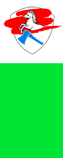 [Municipality of Sankt Wolfgang, 'Deko-Fahne' variant in green (Erding County, Bavaria, Germany)]