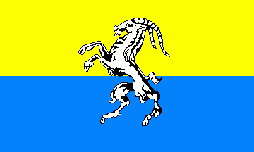 [Bockau municipal flag]